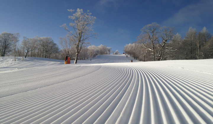 Equipped with artificial snow machine! Stable snowfall