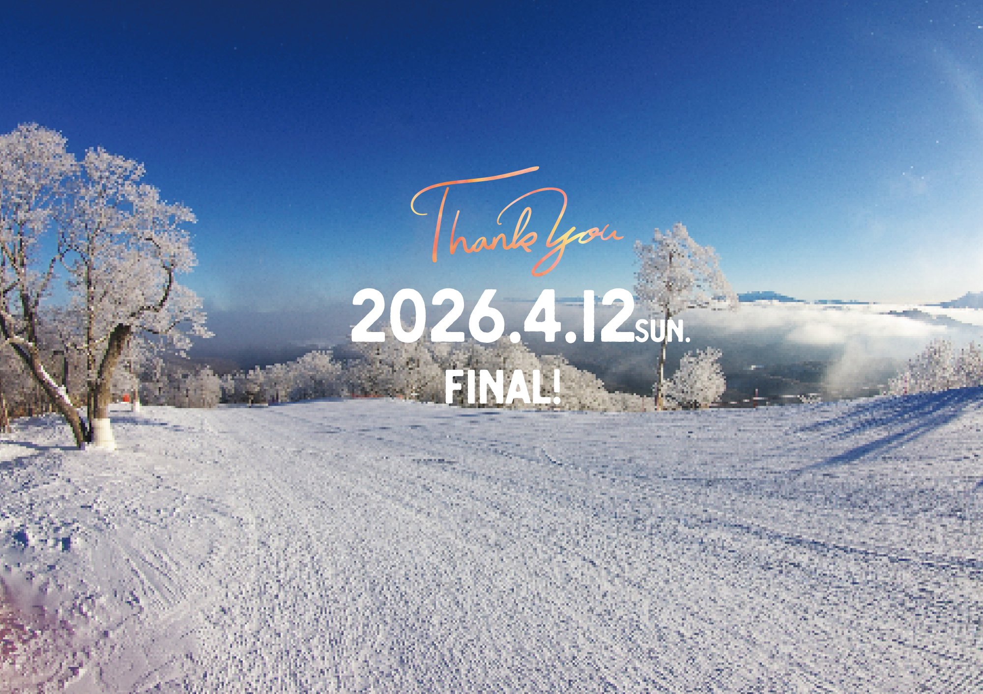 「最終日4月12日(日)」今後の営業予定